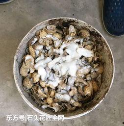 花生壳手工制作图片