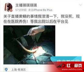 女主播黄鳝门 mp4,女主播MP4视频引发的舆论风暴