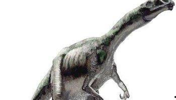 死神龙的资料,史前巨兽的神秘面纱