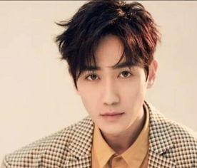 娱乐圈里男明星,颜值与才华并存的璀璨星河