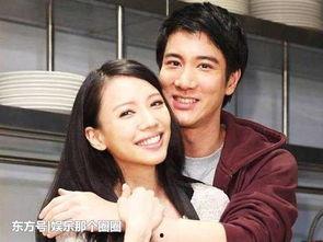 粉丝和明星小说,粉丝与明星的浪漫邂逅